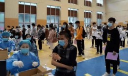 沛县狗市爆料最新消息新闻,揭秘狗市背后的惊人真相