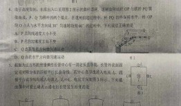 珍珠暴涨爆料最新消息是真的吗,最新爆料真实性揭秘